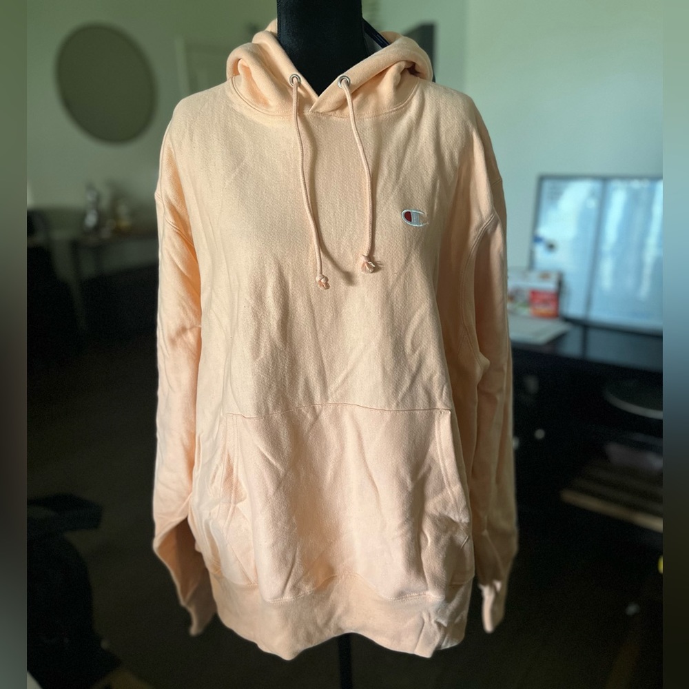 Champion Reverse Weave Boyfriend Hoodie